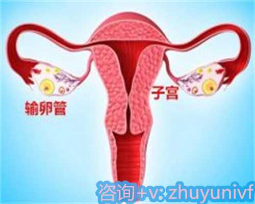 肇庆不孕不育医院选择指南：如何挑选正规助孕机构