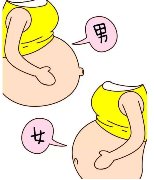 深圳找女人助孕费用及成功率分析